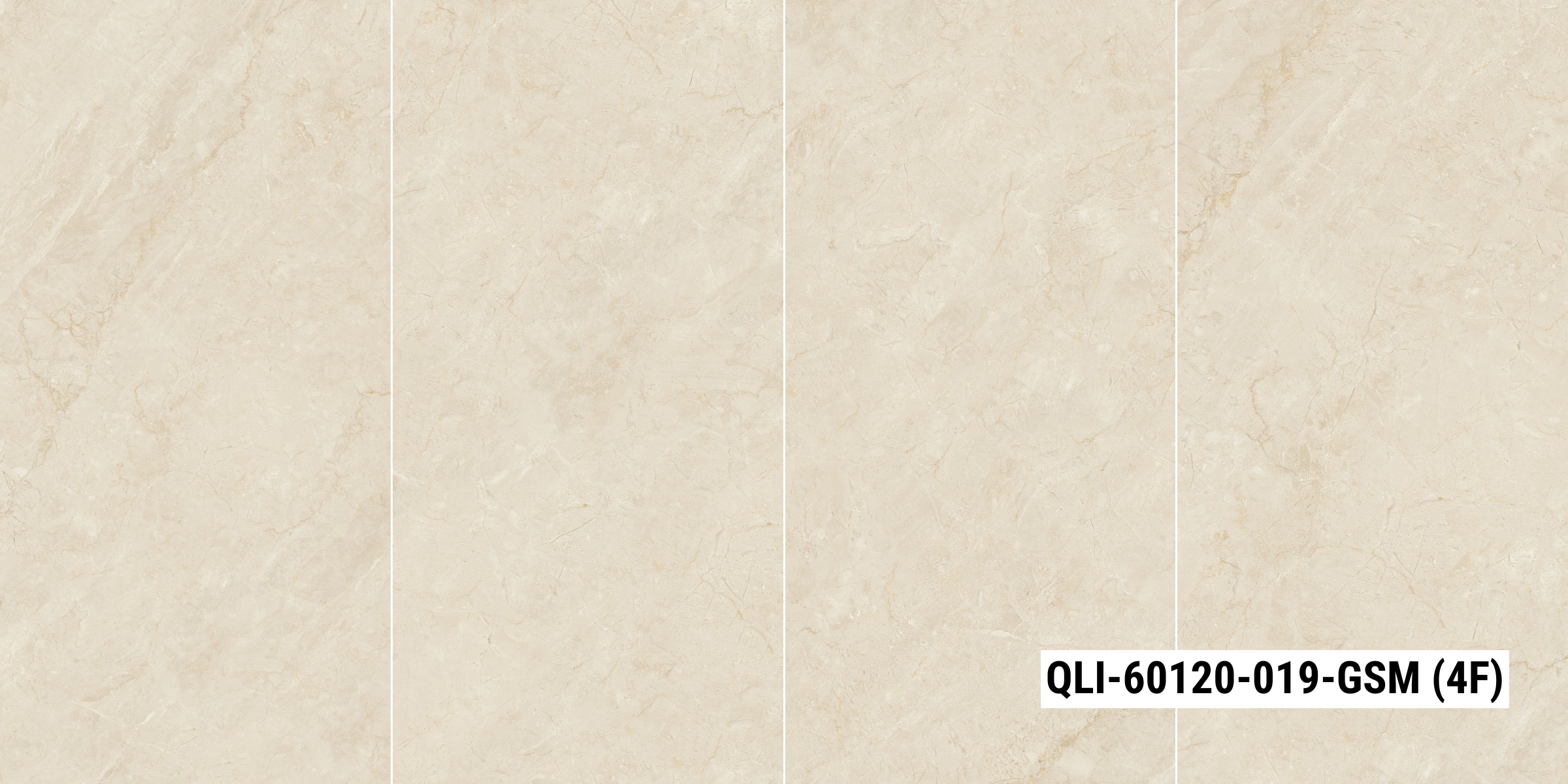 QLI-60120-019-GSM